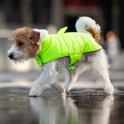 Croci Manteau pour chien rembourré feuilles écologiques jaune recyclé