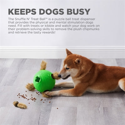 Outward Hound Nina Ottosson Chien Snuffle N' Treat Balle Verte