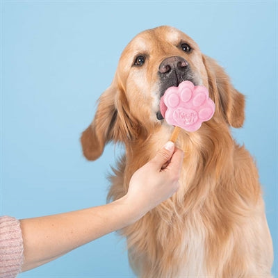 Mélange de glace smoofl pour la fraise de chien