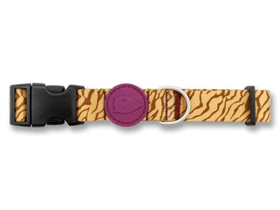 Collier pour chien Morso tambour de jungle recyclé orange