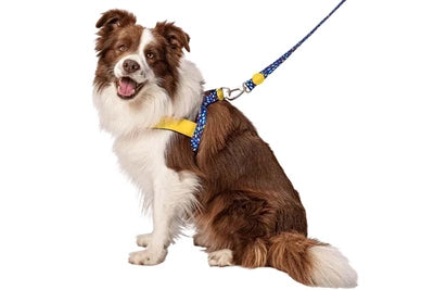 Harnais pour chien norvégien Morso recyclé couleur envahisseurs violet