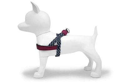 Morso harnais pour chien norvégien recyclé power flow noir