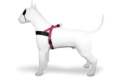 Harnais pour chien norvégien Morso bulle recyclée leo rose
