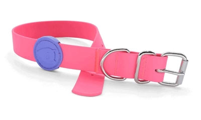 Collier pour chien Morso imperméable recyclé rose passion rose