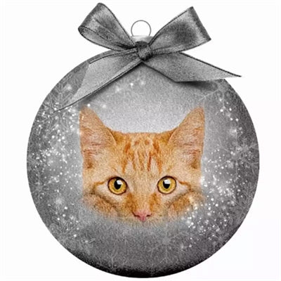 Plenty Gifts Boule de Noël givrée chat rouge gris