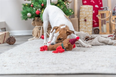 Corde en peluche de renne de Noël Trixie