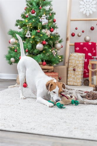 Corde de soie en peluche paresseux de Noël Trixie
