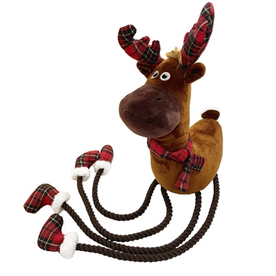 Renne aux longues jambes, animal de compagnie heureux