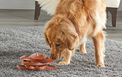 Puzzle de friandises Brightkins Touchdown Time