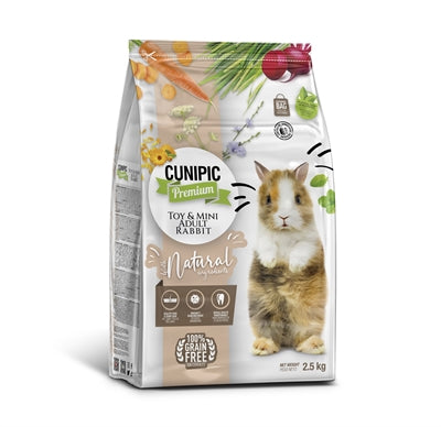 Rabbit nain adulte de qualité supérieure