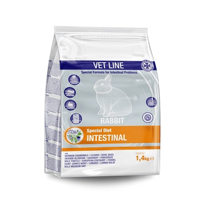 Intestins intestinaux de lapin de lapin de la ligne de vetor