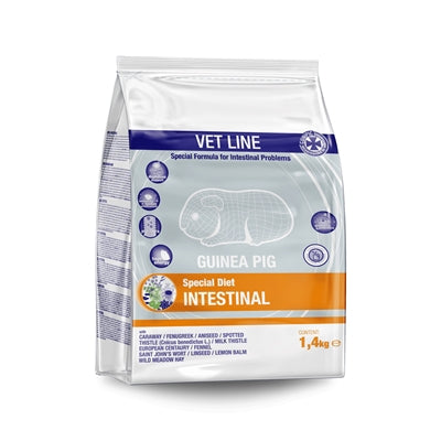 Intestins intestinaux de cobaye vétérinaire