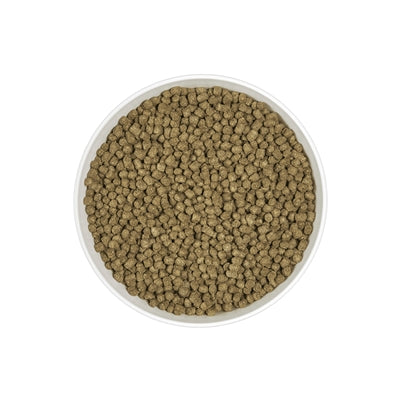 Lapin Cunipic alpha pro junior