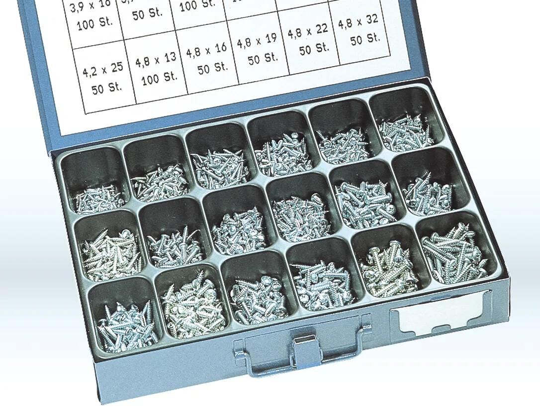 Assortiment de vis à tôle Dresselhaus, vis à tôle din 7981 galvanisées