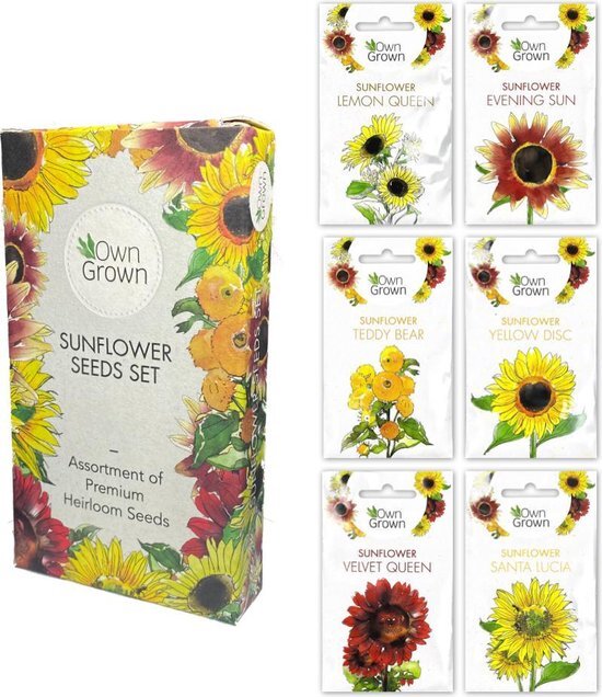 OwnGrown OwnGrown Ensemble de graines de tournesol 6 types différents de tournesols Pour l'intérieur, le jardin et le balcon Emballage écologique