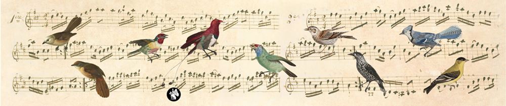 Musique Rondo61 : notes (wie schön, dass