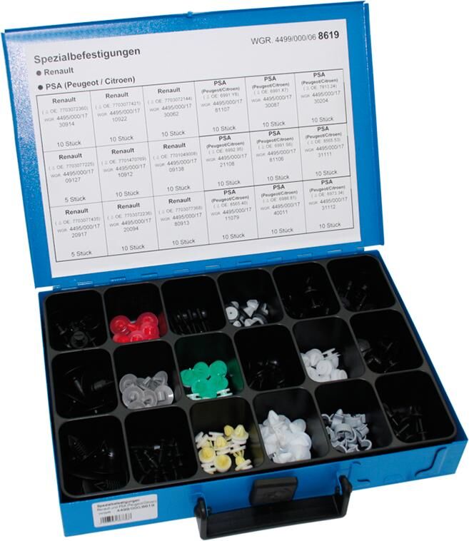 Dresselhaus assortiment d'accessoires spéciaux sort.accessoires spéciaux renault psa 170 pcs.