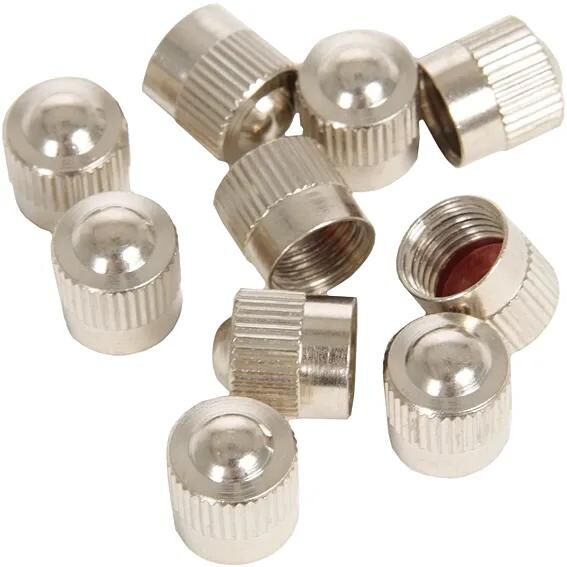 Bouchon de valve Reinheimer bouchon de valve métal standard