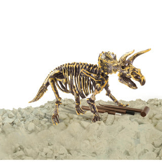 Socle dinosaure | 3 pièces