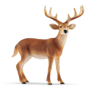 Schleich vie sauvage - cerf de Virginie - figurine de jeu - jouets pour enfants pour garçons et filles - 3 à 8 ans - 14818