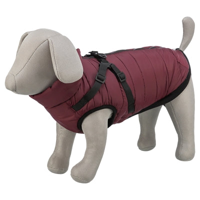 Manteau pour chien Trixie pirou avec harnais sangria