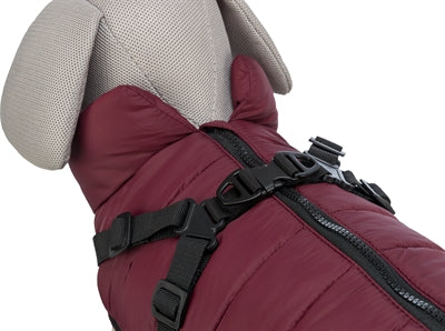 Manteau pour chien Trixie pirou avec harnais sangria