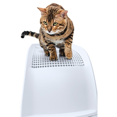 Bac à litière pour chat Imac frida avec tiroir bleu clair