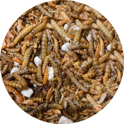 Mélange d'insectes Utopia