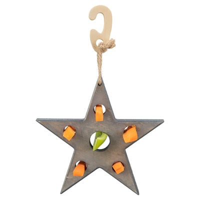 Trixie jeu de Noël et collation étoile gris