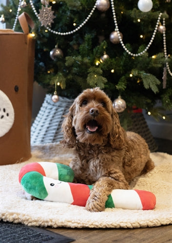 Cupidon comète Carrie canne en bonbon bâton de Noël en peluche