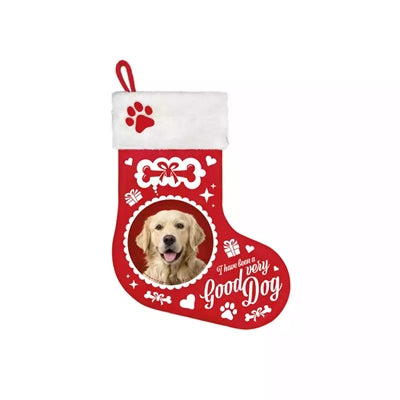 Beaucoup de cadeaux bas de Noël golden retriever