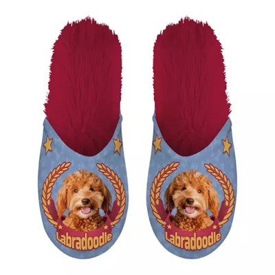 Babouche labradoodle lilas rouge