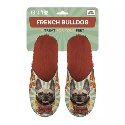 pantoufle bouledogue français bouledogue français orange