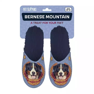 Chausson Bouvier Bernois bleu foncé