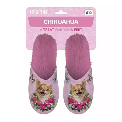 Chausson chihuahua rose