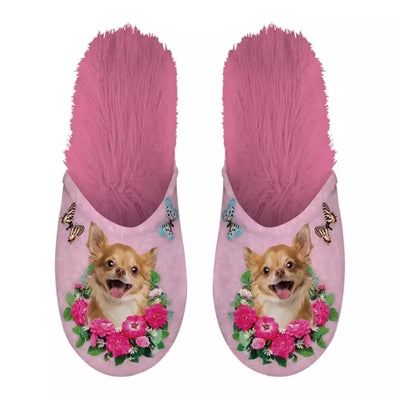 Chausson chihuahua rose