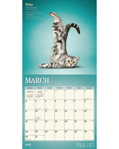 calendrier chats de yoga 2025