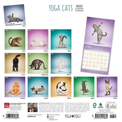 calendrier chats de yoga 2025