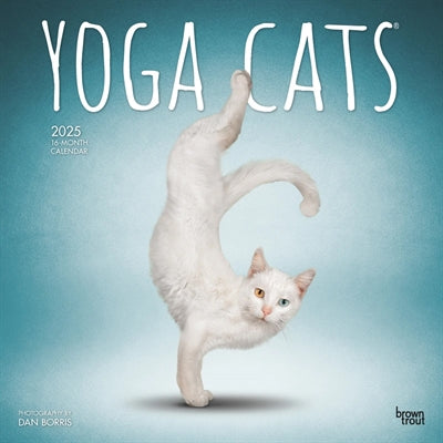 calendrier chats de yoga 2025