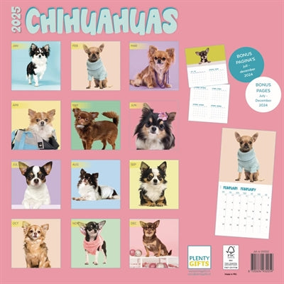calendrier studio chihuahua 2025