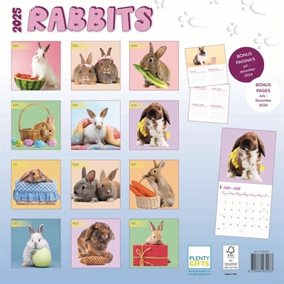 calendrier lapins studio 2025