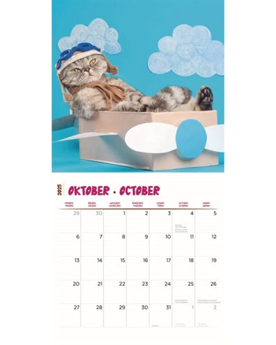 Calendrier chats les plus drôles 2025