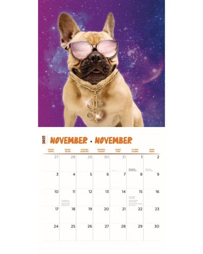 calendrier chiens fous 2025