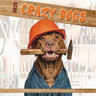 calendrier chiens fous 2025