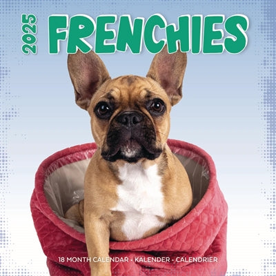 Calendrier Frenchies studio 2025