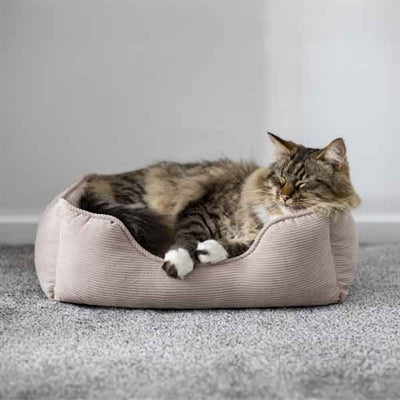 Lit pour chien Rosewood 40 winks cordon tissu côtelé beige