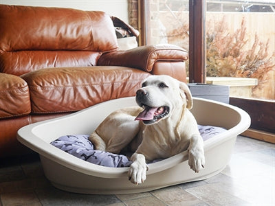 Coussin pour chien en palissandre toutes saisons ovale imprimé chien gris