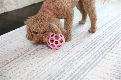 Jw hol-ee rouleau tendance-ee rose