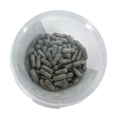 Pharmacie animale résorption des fœtus résorption fœtale