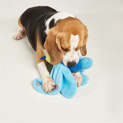 Fofos jumbo papillon bleu